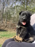 processed/db282913-5ef9-4182-8dbb-896cb0ee6bbd/facility/e958cd32-b5c1-472c-a3c6-6d4dad7da28b