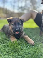 processed/db282913-5ef9-4182-8dbb-896cb0ee6bbd/facility/eff57f79-b06b-44b9-b0db-2b8a75845c4e