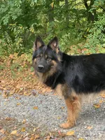 processed/db282913-5ef9-4182-8dbb-896cb0ee6bbd/facility/fd0ffce2-c501-442b-a3dd-2de8aba996fe