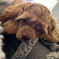 processed/db2ea074-e940-4ed6-94bb-d3a2d77b2187/facility/256fb598-72a4-406c-8f3f-6eeb181dbf76