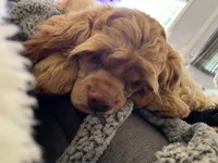 processed/db2ea074-e940-4ed6-94bb-d3a2d77b2187/facility/256fb598-72a4-406c-8f3f-6eeb181dbf76