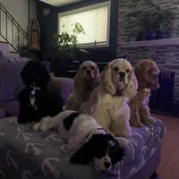 processed/db2ea074-e940-4ed6-94bb-d3a2d77b2187/facility/41e3bdec-a1ff-4e80-9ab2-7727883bb8c4