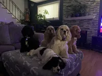 processed/db2ea074-e940-4ed6-94bb-d3a2d77b2187/facility/41e3bdec-a1ff-4e80-9ab2-7727883bb8c4