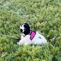 processed/db2ea074-e940-4ed6-94bb-d3a2d77b2187/facility/715a18fd-4353-4fb4-aab5-2c52f22dc271