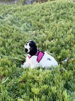 processed/db2ea074-e940-4ed6-94bb-d3a2d77b2187/facility/715a18fd-4353-4fb4-aab5-2c52f22dc271