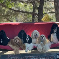 processed/db2ea074-e940-4ed6-94bb-d3a2d77b2187/facility/a4200163-caf5-4844-85a6-65cc560d1581