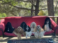 processed/db2ea074-e940-4ed6-94bb-d3a2d77b2187/facility/a4200163-caf5-4844-85a6-65cc560d1581