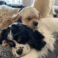 processed/db2ea074-e940-4ed6-94bb-d3a2d77b2187/facility/f79c5fb5-feb0-4781-b2fb-6f5d7599ee43