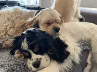 processed/db2ea074-e940-4ed6-94bb-d3a2d77b2187/facility/f79c5fb5-feb0-4781-b2fb-6f5d7599ee43