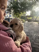 processed/db2ea074-e940-4ed6-94bb-d3a2d77b2187/listing/fd3b4dd8-372a-4ea1-8981-99ed4960f1e3/c0ee381f-e61b-4a57-b266-b444a790f0ce