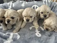 processed/db2ea074-e940-4ed6-94bb-d3a2d77b2187/listing/fd3b4dd8-372a-4ea1-8981-99ed4960f1e3/c24003fb-3a7e-4e72-8cb3-e208a2ee2032