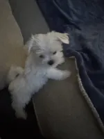 processed/db3bb4e2-7d9f-4294-9462-020e4439dfb9/facility/155b432d-fd4b-45fe-82ac-5e0306f35049