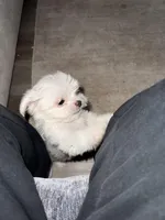 processed/db3bb4e2-7d9f-4294-9462-020e4439dfb9/facility/80d9d5d8-c9bb-4d28-a490-bf574d466e18