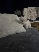 processed/db3bb4e2-7d9f-4294-9462-020e4439dfb9/facility/8d7afd17-37c5-48e4-8475-005232c61261