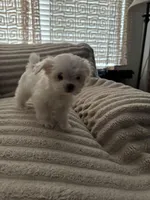 processed/db3bb4e2-7d9f-4294-9462-020e4439dfb9/facility/e79e55d3-5f1b-4803-a937-4c4d03493f3c