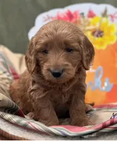 processed/db3e350b-acca-406c-8b40-2ba0978c975b/listing/d8402e56-15b8-4fb0-88fc-b4c4ff888a12/0b02d40f-0d2a-4746-964c-8296a0dde9f2