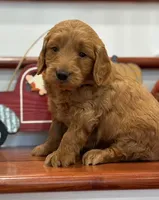 processed/db3e350b-acca-406c-8b40-2ba0978c975b/listing/d8402e56-15b8-4fb0-88fc-b4c4ff888a12/a74d4d9d-ef17-4742-9e29-ad45ec9d9a2d