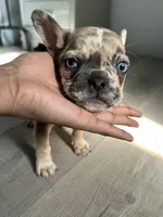 processed/db41e17a-7314-43e6-9306-0e5b8192f6c5/listing/df7d3a4a-fe7a-4f57-8a3f-68004159968b/192584cc-1850-4faa-b057-056fe131b4b9