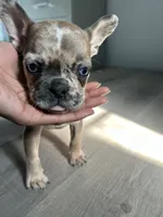 processed/db41e17a-7314-43e6-9306-0e5b8192f6c5/listing/df7d3a4a-fe7a-4f57-8a3f-68004159968b/506fe4fb-61c1-4328-984d-46f9ec682f05