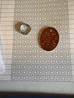 Pebbles , a female Yorkshire Terrier for sale in Prestonsburg, KY – Photo 6 of 7