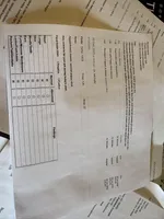 Pebbles , a female Yorkshire Terrier for sale in Prestonsburg, KY – Photo 4 of 7