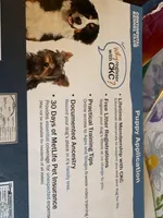 Pebbles , a female Yorkshire Terrier for sale in Prestonsburg, KY – Photo 5 of 7