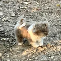 processed/db54a20b-4517-46e1-9d92-b14355d1cddb/facility/3bbedce9-84c5-470e-b5f9-2a333d3c5a82