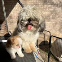 processed/db54a20b-4517-46e1-9d92-b14355d1cddb/facility/a8796548-b18c-4538-aa9a-0f2038768593