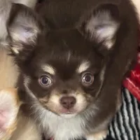 processed/db567c46-cb88-4632-9056-b49de9bbf019/facility/286e6ff7-d40f-440e-90b6-4a498f33b657