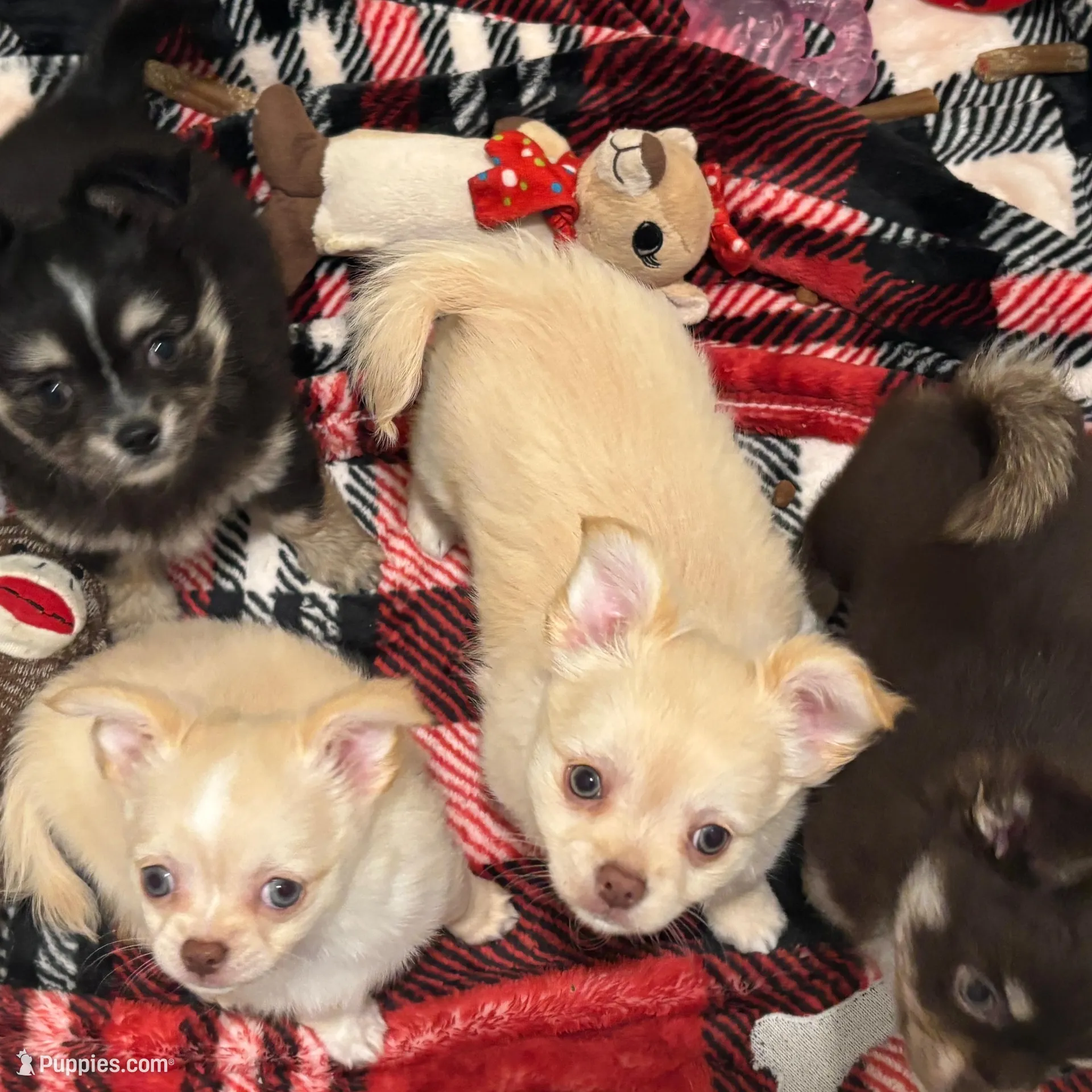 processed/db567c46-cb88-4632-9056-b49de9bbf019/facility/46fa1c87-83c3-4820-8671-eeaee27c444c