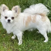 processed/db567c46-cb88-4632-9056-b49de9bbf019/facility/485f32cb-6b1a-4055-8d4e-79d53bb00244