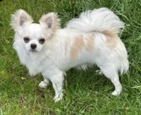 processed/db567c46-cb88-4632-9056-b49de9bbf019/facility/485f32cb-6b1a-4055-8d4e-79d53bb00244