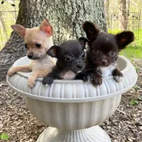 processed/db567c46-cb88-4632-9056-b49de9bbf019/facility/703d5e57-c573-4618-b568-94e1ddf687f9