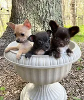 processed/db567c46-cb88-4632-9056-b49de9bbf019/facility/703d5e57-c573-4618-b568-94e1ddf687f9