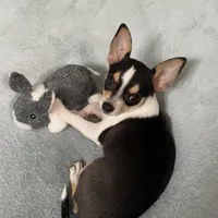 processed/db567c46-cb88-4632-9056-b49de9bbf019/facility/a0c94c97-751d-4ebe-a7ea-f9b266c22637