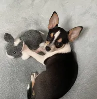 processed/db567c46-cb88-4632-9056-b49de9bbf019/facility/a0c94c97-751d-4ebe-a7ea-f9b266c22637