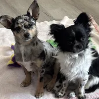 processed/db567c46-cb88-4632-9056-b49de9bbf019/facility/b6211591-c78a-43fd-8759-57aba71bb87d