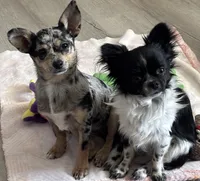 processed/db567c46-cb88-4632-9056-b49de9bbf019/facility/b6211591-c78a-43fd-8759-57aba71bb87d