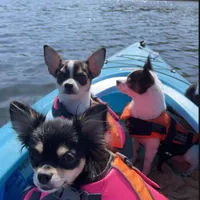 processed/db567c46-cb88-4632-9056-b49de9bbf019/facility/f2193d12-dfb8-4018-8d31-9509945888eb