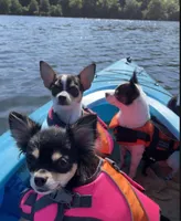 processed/db567c46-cb88-4632-9056-b49de9bbf019/facility/f2193d12-dfb8-4018-8d31-9509945888eb