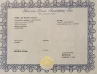 Bella❤️REGISTERED, a female Chihuahua for sale in Panama City, FL – Photo 6 of 6