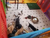 processed/db59910e-60ae-4032-a44e-6847c26c513c/facility/00144497-f3f1-4b56-bdb8-c92ae079c46f