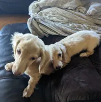 processed/db59910e-60ae-4032-a44e-6847c26c513c/facility/1ca57968-d40f-434b-9f4b-0fc8d87872a1