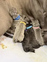 processed/db64a134-cebc-4fc8-81b4-be6a4a480b90/listing/0e1b7852-502c-4ffb-ab3d-0fb3021d3cfd/8f0da6aa-387f-47d4-94aa-744eb643ad78