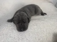 processed/db64a134-cebc-4fc8-81b4-be6a4a480b90/listing/0e1b7852-502c-4ffb-ab3d-0fb3021d3cfd/9758fb1f-4ecf-4541-8d0b-717877f81f6f