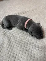 processed/db64a134-cebc-4fc8-81b4-be6a4a480b90/listing/0e1b7852-502c-4ffb-ab3d-0fb3021d3cfd/f1ccaafb-0e80-4537-a8c7-84e270876efa