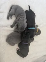 processed/db64a134-cebc-4fc8-81b4-be6a4a480b90/listing/584a1bfd-07d8-48c1-a811-713f40f4c112/534b8718-76f3-43b6-bab5-4be59bab2942