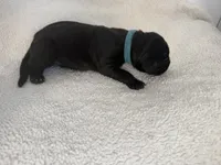 processed/db64a134-cebc-4fc8-81b4-be6a4a480b90/listing/584a1bfd-07d8-48c1-a811-713f40f4c112/7617169d-bc89-410f-83d6-31959d314aee