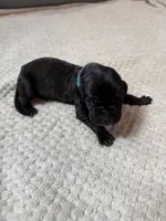 processed/db64a134-cebc-4fc8-81b4-be6a4a480b90/listing/584a1bfd-07d8-48c1-a811-713f40f4c112/cc8ca1c2-c3a0-4a6e-909e-3990d298c111