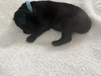 processed/db64a134-cebc-4fc8-81b4-be6a4a480b90/listing/584a1bfd-07d8-48c1-a811-713f40f4c112/e355ef7d-5fb7-40e3-8466-5d2cb37c4a94